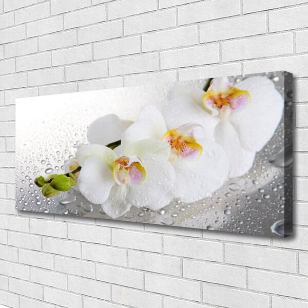 Tablou pe panza canvas Flori Floral alb