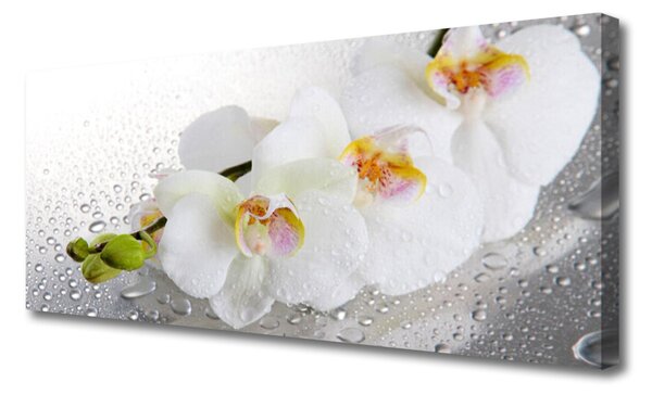 Tablou pe panza canvas Flori Floral alb