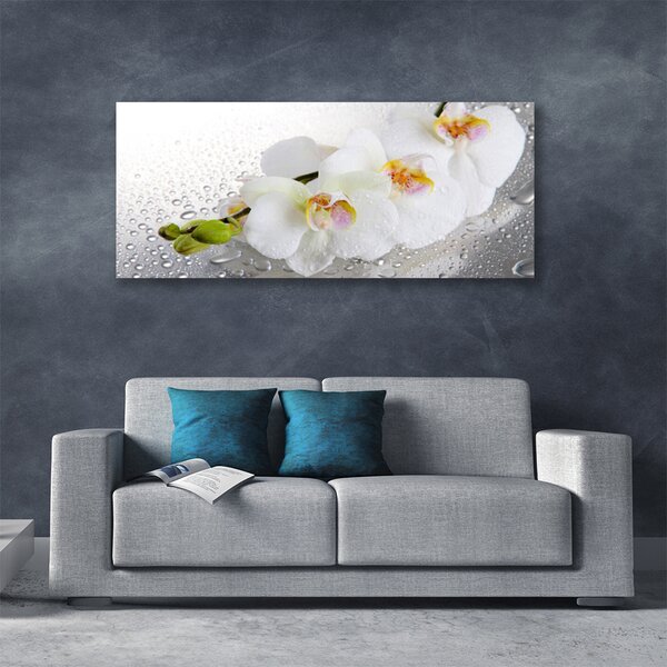 Tablou pe panza canvas Flori Floral alb