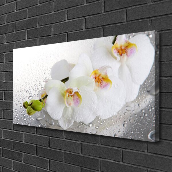 Tablou pe panza canvas Flori Floral alb