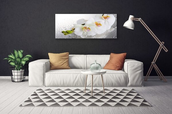 Tablou pe panza canvas Flori Floral alb