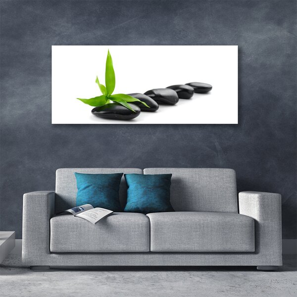Tablou pe panza canvas Pietre Frunze Arta Negru Verde