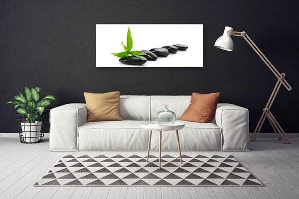 Tablou pe panza canvas Pietre Frunze Arta Negru Verde