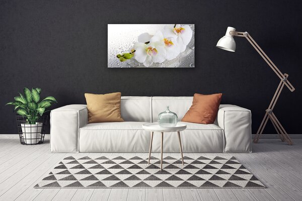 Tablou pe panza canvas Flori Floral alb