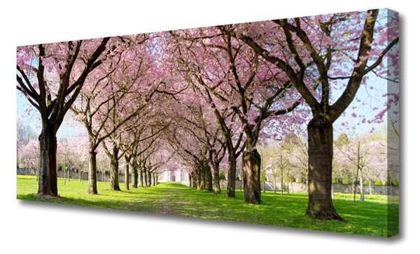 Tablou pe panza canvas Poteca Copaci Natura Brun Roz Verde