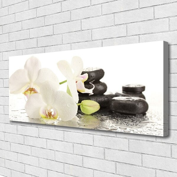 Tablou pe panza canvas Pietre florale flori alb negru