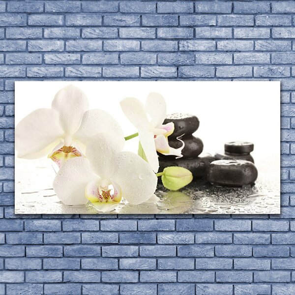 Tablou pe panza canvas Pietre florale flori alb negru