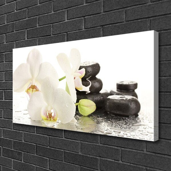 Tablou pe panza canvas Pietre florale flori alb negru