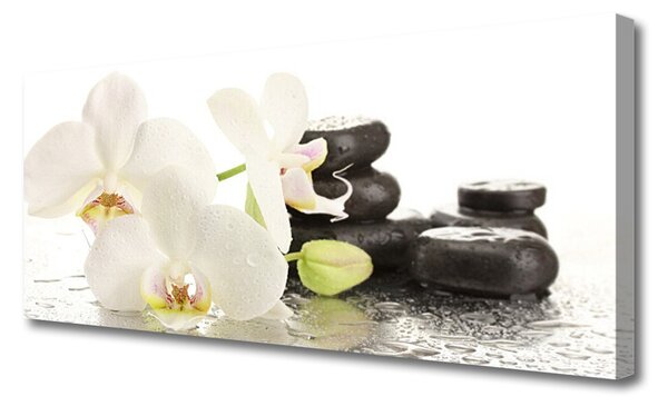 Tablou pe panza canvas Pietre florale flori alb negru