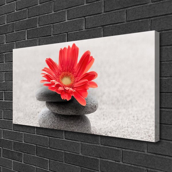Tablou pe panza canvas Pietrele de flori Arta Orange Gray