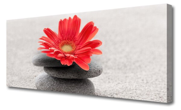 Tablou pe panza canvas Pietrele de flori Arta Orange Gray