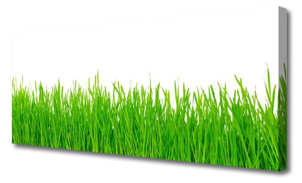 Tablou pe panza canvas Weed Natura verde