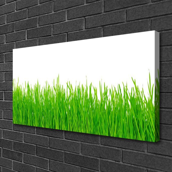 Tablou pe panza canvas Weed Natura verde