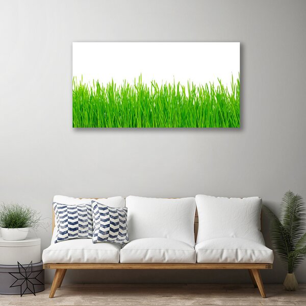 Tablou pe panza canvas Weed Natura verde