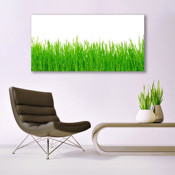 Tablou pe panza canvas Weed Natura verde