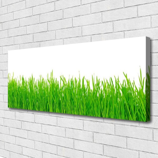 Tablou pe panza canvas Weed Natura verde