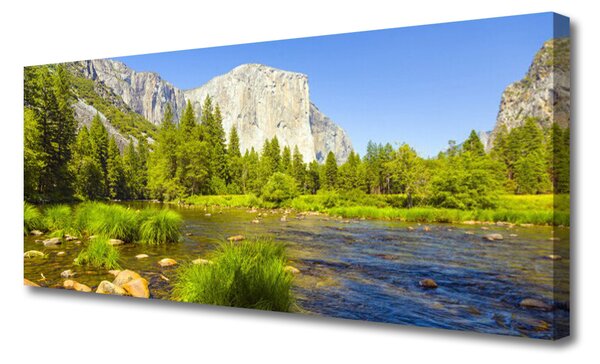 Tablou pe panza canvas Mountain Lake Forest Natura Albastru Verde Gri