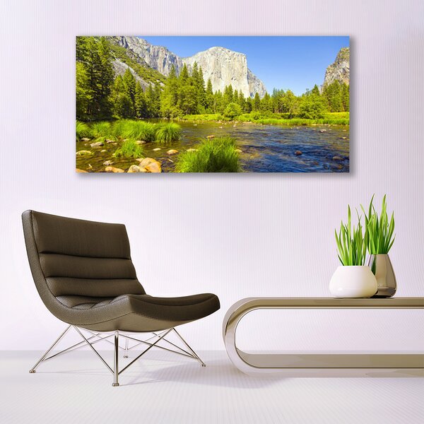 Tablou pe panza canvas Mountain Lake Forest Natura Albastru Verde Gri
