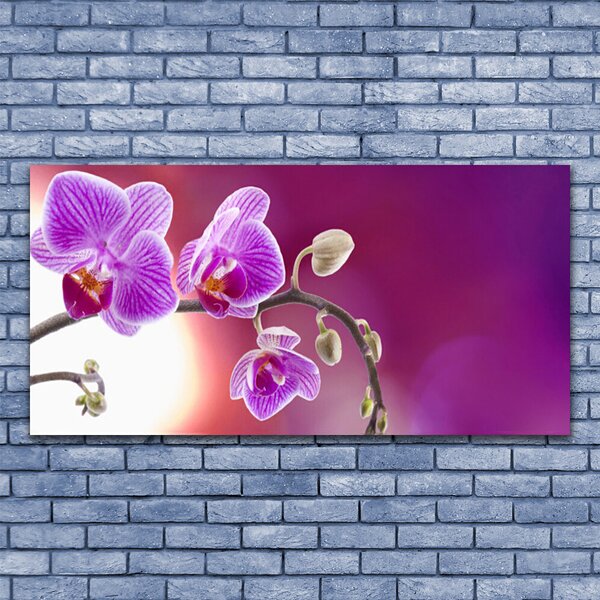 Tablou pe sticla Flori roz Floral