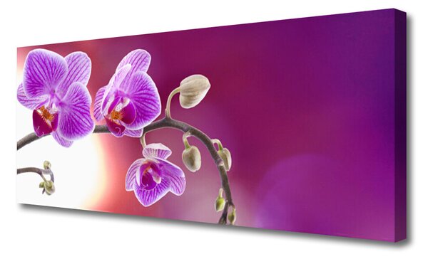 Tablou pe panza canvas Flori roz Floral