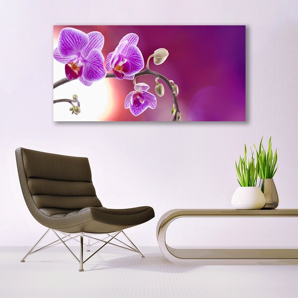 Tablou pe sticla Flori roz Floral