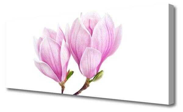 Tablou pe panza canvas Florale flori roz