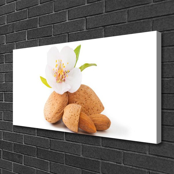 Tablou pe panza canvas Flower Fisticul Floral Alb Brun
