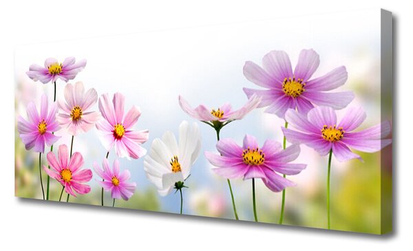 Tablou pe panza canvas Flori roz Floral