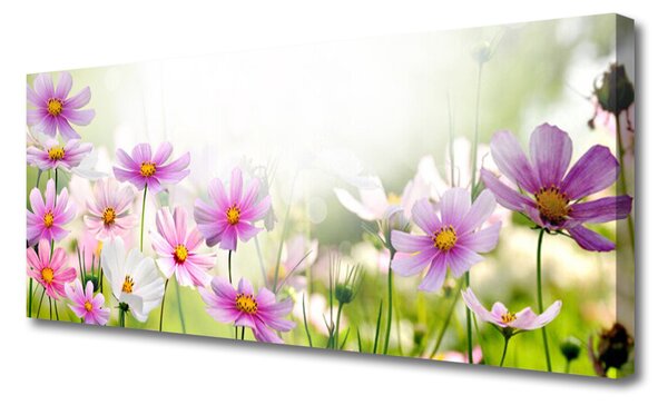 Tablou pe panza canvas Flori roz Floral