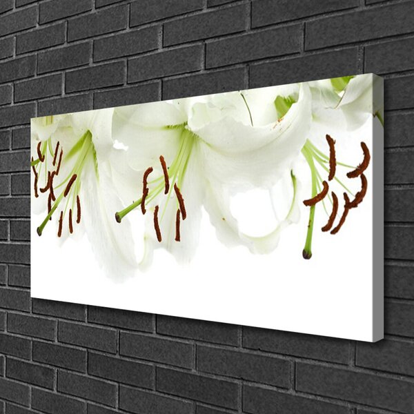 Tablou pe panza canvas Flori Floral Verde Alb Maro