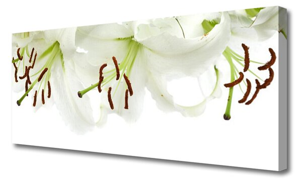 Tablou pe panza canvas Flori Floral Verde Alb Maro