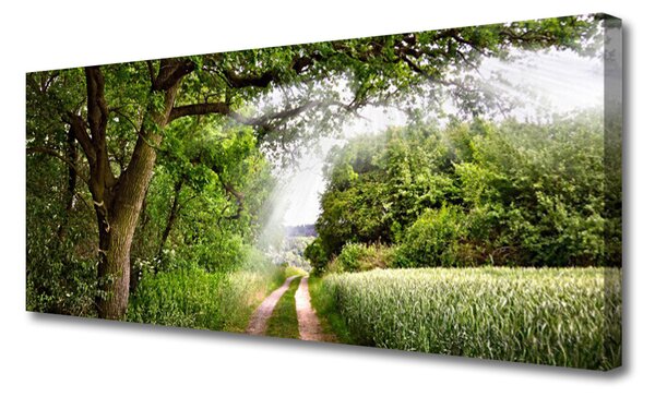 Tablou pe panza canvas Copaci Potecă Natura Brun Verde