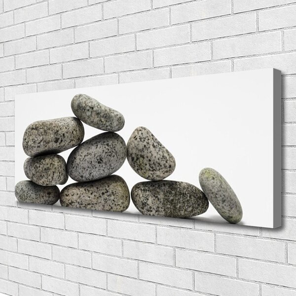 Tablou pe panza canvas Pietre Art Gray