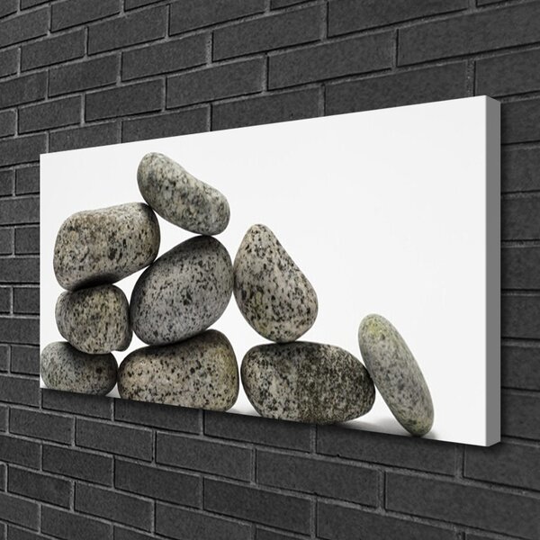 Tablou pe panza canvas Pietre Art Gray