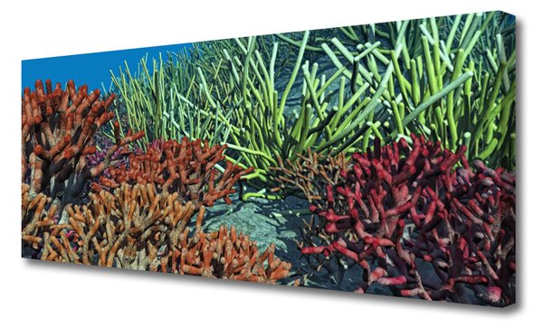 Tablou pe panza canvas Coral Reef Natura Multi