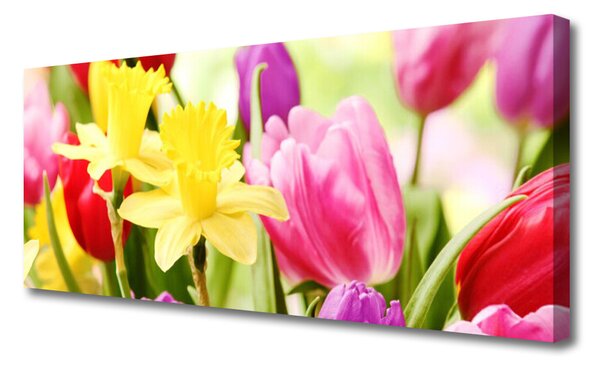 Tablou pe panza canvas Flori Floral Roșu Galben Verde