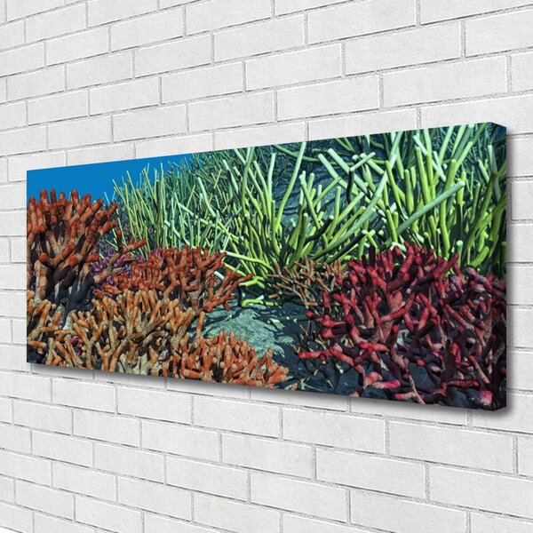 Tablou pe panza canvas Coral Reef Natura Multi