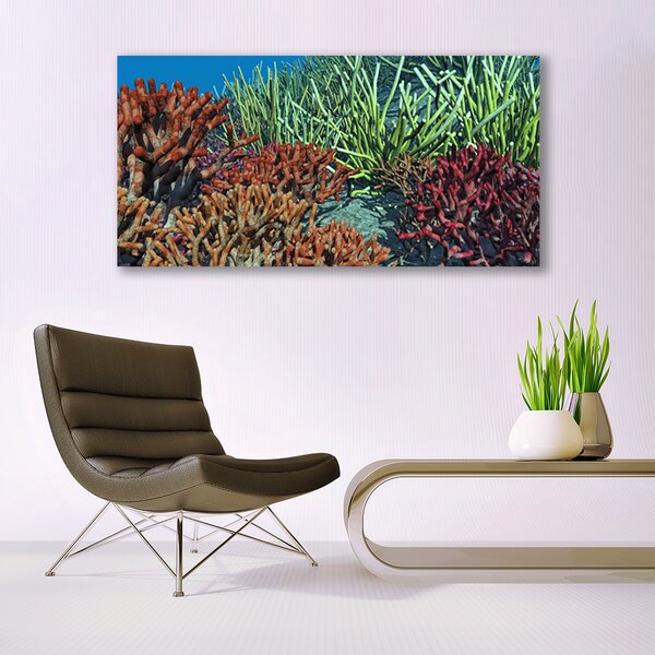 Tablou pe panza canvas Coral Reef Natura Multi