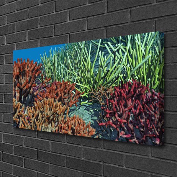 Tablou pe panza canvas Coral Reef Natura Multi