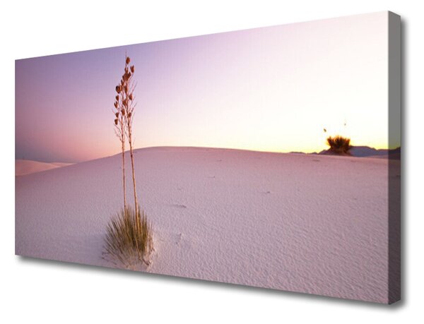 Tablou pe panza canvas Desert Peisaj Brown