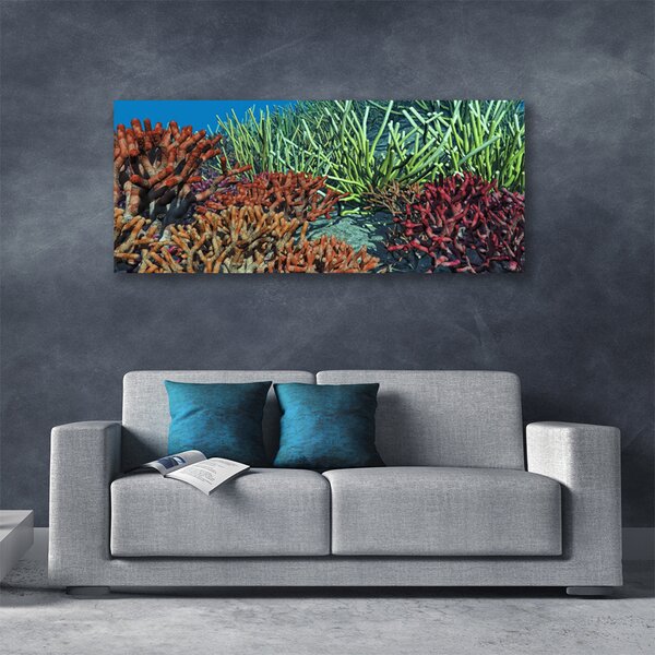 Tablou pe panza canvas Coral Reef Natura Multi