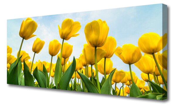 Tablou pe panza canvas Lalele Floral Galben Verde