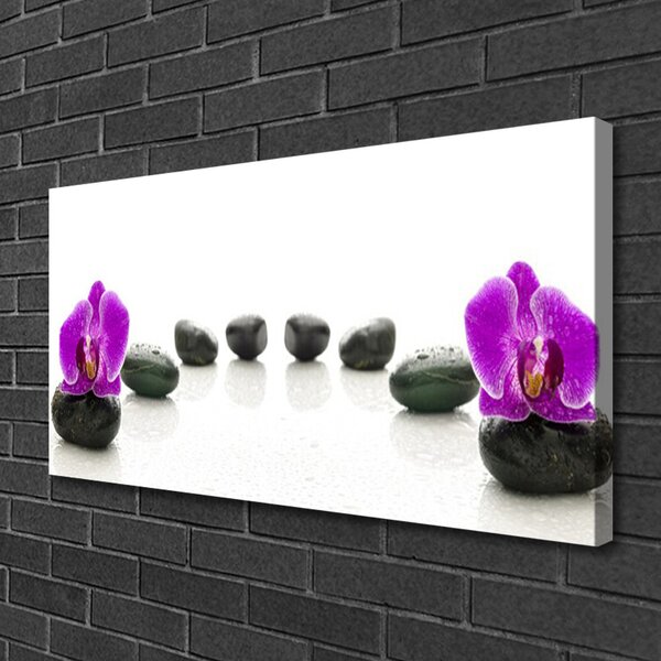 Tablou pe panza canvas Pietrele de flori Arta roz negru