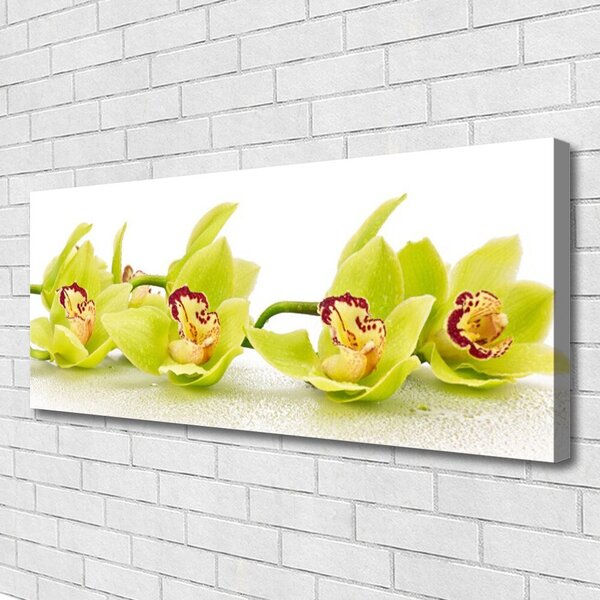 Tablou pe panza canvas Flori Floral Verde