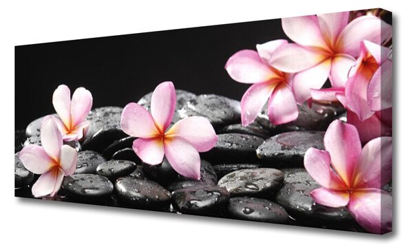 Tablou pe panza canvas Pietrele florale flori roz negru