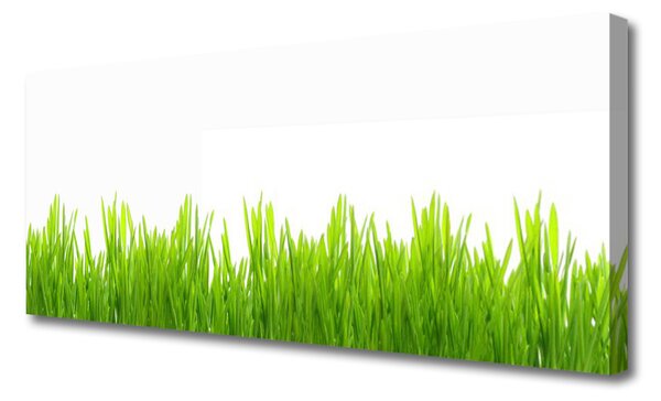 Tablou pe panza canvas Weed Natura verde