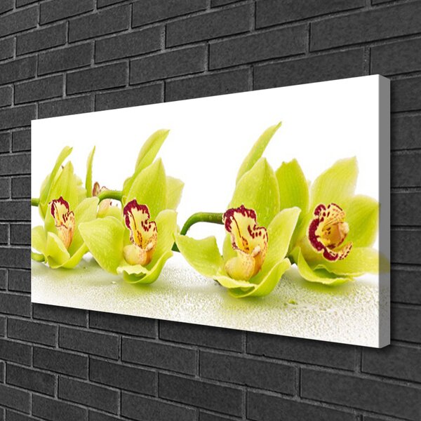 Tablou pe panza canvas Flori Floral Verde
