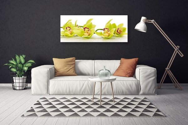 Tablou pe panza canvas Flori Floral Verde