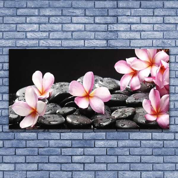 Tablou pe panza canvas Pietrele florale flori roz negru