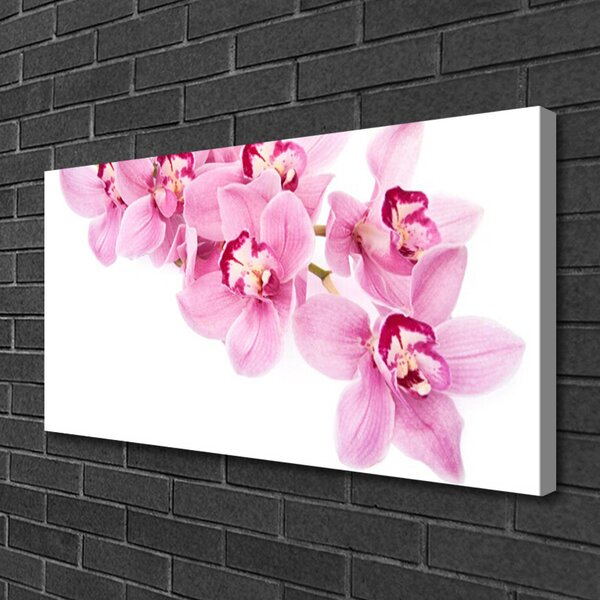 Tablou pe panza canvas Flori roz Floral